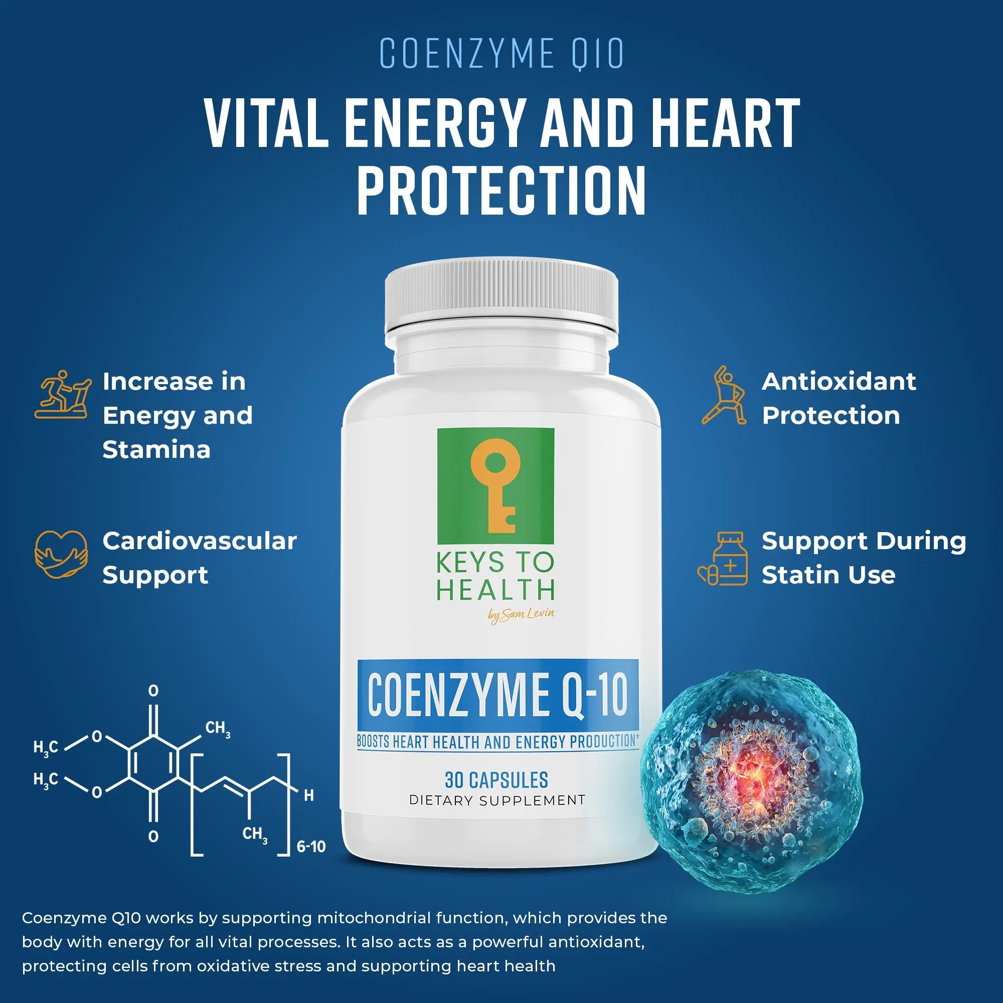Coenzyme Q10 — Vital Energy and Heart Protection