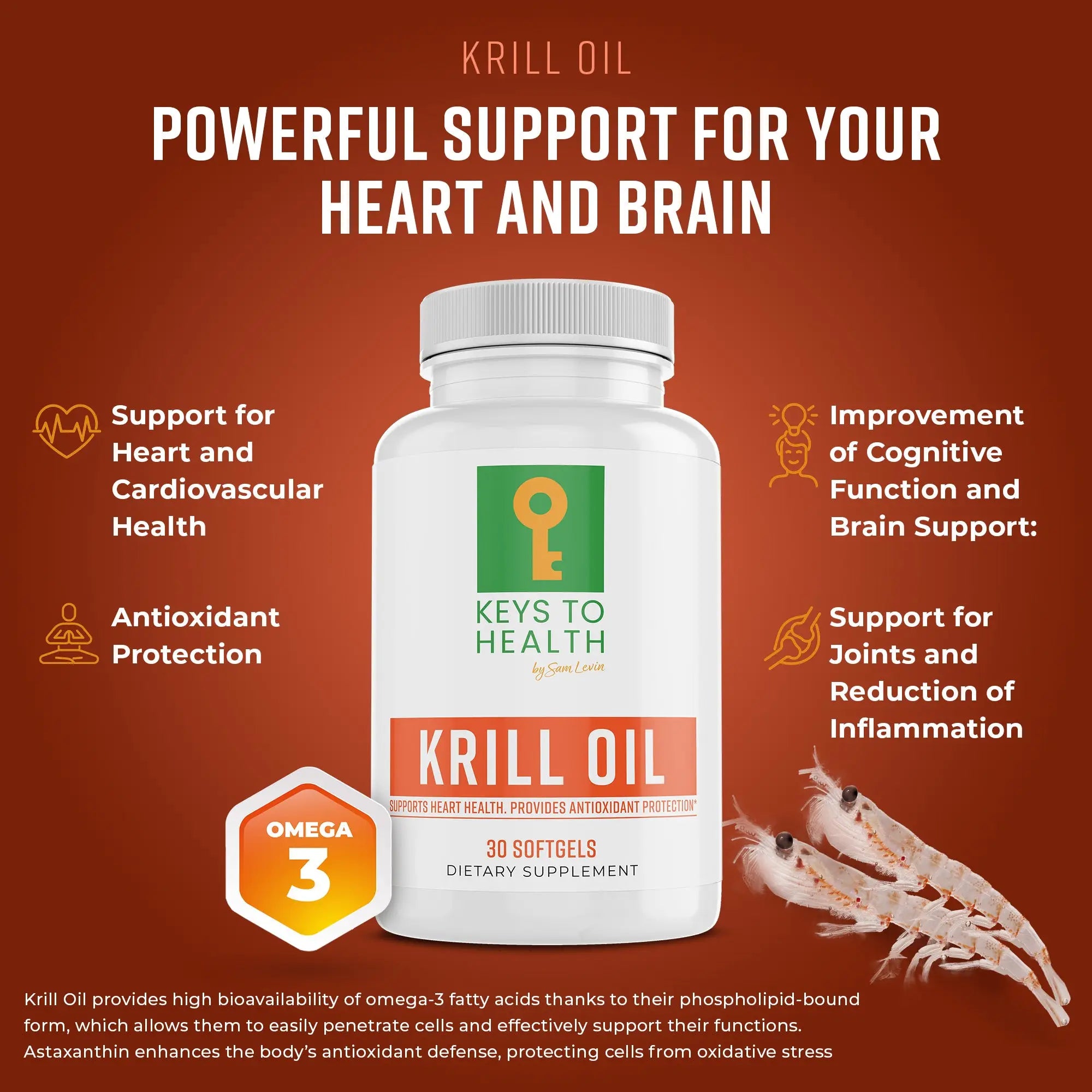 Krill Oil — Powerful Support for Your Heart and Brain